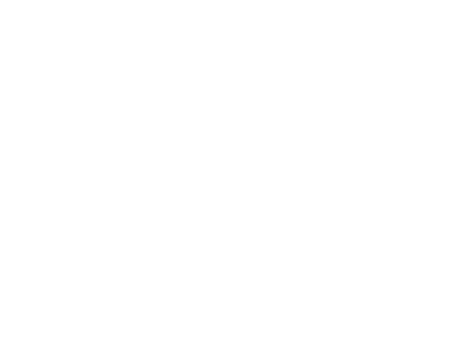 Pepsico Foundation